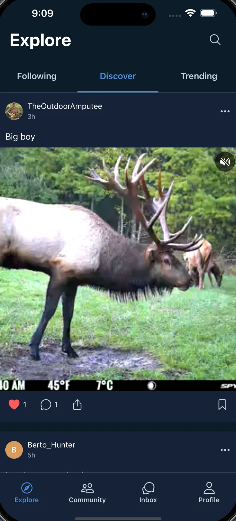 TrailTalk: TrailTalk Explore feed on the Discover tab with a video post of a bull elk and like, comment, and share actions.